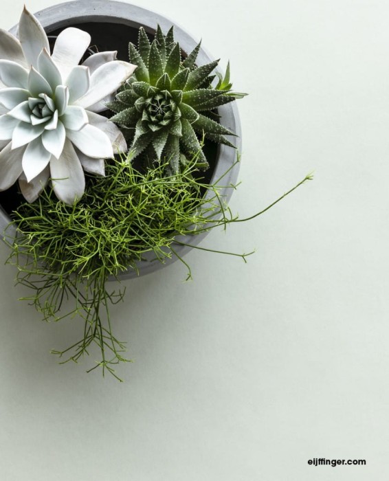 Tapeta Eijffinger Blend 363055 8470