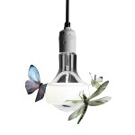 Johnny b. Butterfly Ingo Maurer 25232