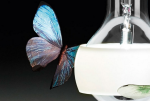 Johnny b. Butterfly Ingo Maurer 25236