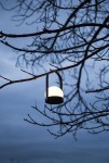 lampa stołowa LED Carrie Menu 29643
