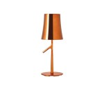 Birdie  Piccola  Foscarini 30513