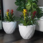 vases-ambiente4.jpg