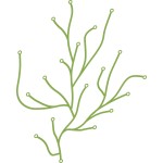 Algue Vitra  czarne 39645