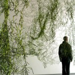 Algue Vitra  czerwone 39677