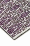 024105410-31415-HARLEQUIN-PLUM-2.jpg