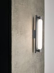 roche_verti-2.jpg