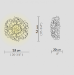 clizia_m_dimensions.png