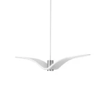 lampawiszacanightbirds.webp