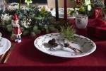 kahler-wazon-hammershoi-christmas__114437_cbc4432-s543x531.jpg