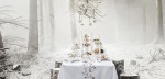 kahler-serwetki-hammershoi-christmas-45-x-45-cm-4-szt__114433_d51f63e-s543x531.jpg