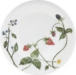 kahler-talerz-sniadaniowy-hammershoi-summer-berries-22-cm__165880_32524db-s543x531.jpg
