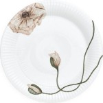 kahler-talerz-obiadowy-hammershoi-poppy-27-cm__121042_9606ec3-s543x531.jpg