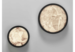 convex-brokis-wall-ceiling-lamp.jpg