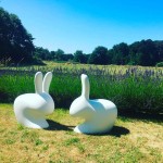 qeeboo-rabbit-chair-stefano-giovannoni-05.jpg