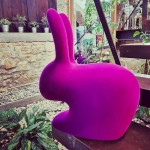 qeeboo-rabbit-chair-velvet-finish-stefano-giovannoni-03.jpg