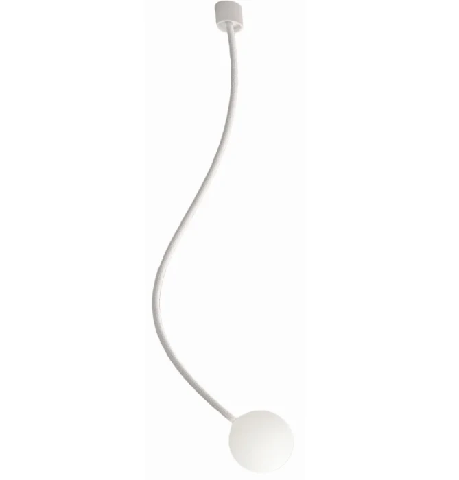 PL307CBINT.webp