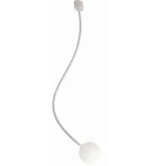 PL307CBINT.webp