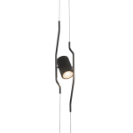Tendu-png.png