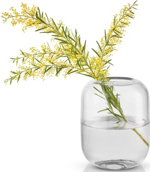 Eva Solo Acorn wazon 16,5cm transparentny