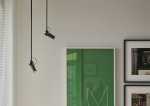 BIRD-CEILING.jpg