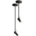 BIRD-CEILING-black.png