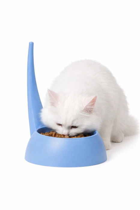 Fluffy cat enjoying dinner in blue bowl.png