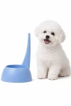 Happy Bichon Frise with blue bowl.png