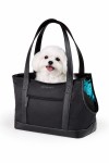 Adorable Maltese in stylish carrier bag.jpg