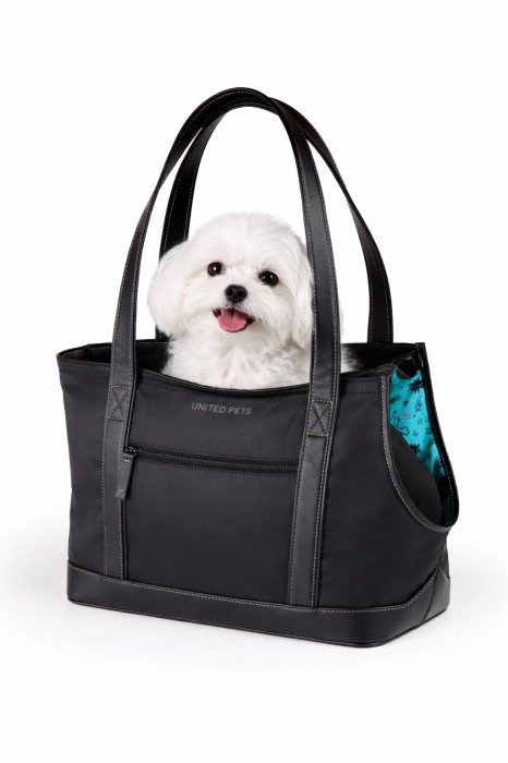Adorable Maltese in stylish carrier bag.jpg