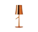 Birdie  Piccola  Foscarini 30513