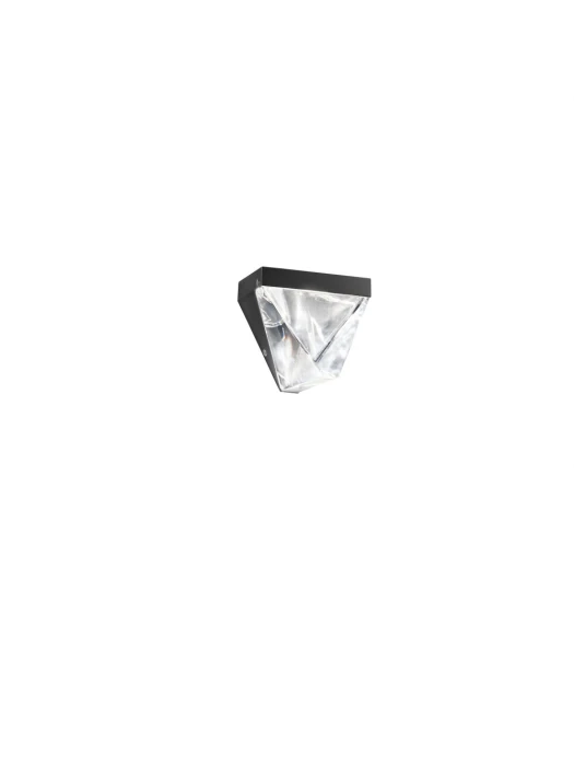 F41D0221.jpg