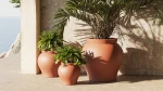 planters-pots-design-venus-marcel-wanders-vondom_1.jpg