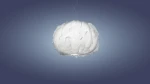 nuee_s_white_22-1.jpg