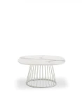Art. 4387H white top hpl marble white Roberti_10_2020_1437.jpg
