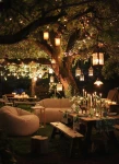 Dolly-Gold-evening-setting.jpg