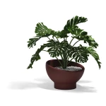 08-Vondom-Luna-Planter-Ramon-Esteve-54857-Garnet.jpg