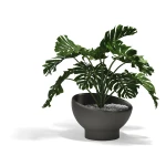 12-Vondom-Luna-Planter-Ramon-Esteve-54857-Anthracite.jpg