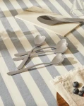 02_AMMI01CUS4.webp