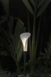 3-Bloom-1-scaled.jpg