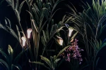 Bloom-by-DAAA-Haus-for-Contardi-Photo-by-DAAA-Haus-01.jpg