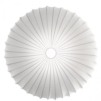 Muse  Biała Axo Light