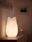 Bubo lampa Sowa  - Slide 2781