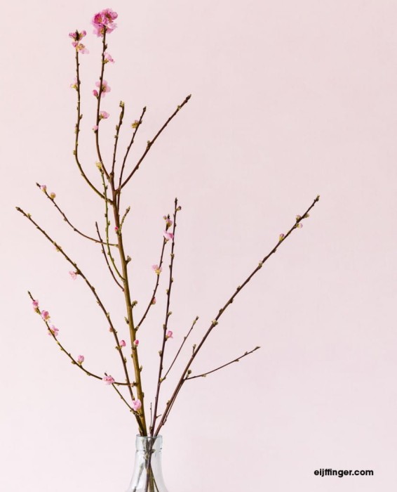 Tapeta Eijffinger Blend 363051 8471