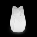 Bubo lampa Sowa  - Slide 2782