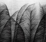 Tapeta Golden Wind 5126